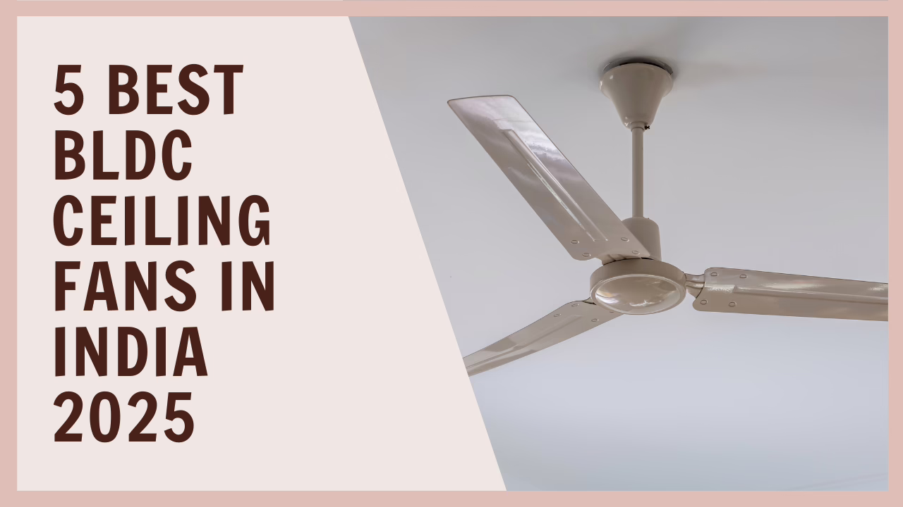 Ceiling fan