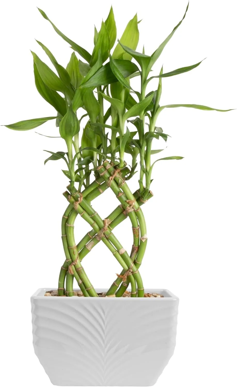 619blowoiml. Ac sl1500